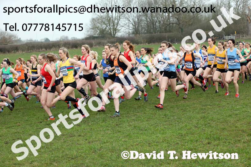 Senior womens Inter Counties Cross Country, Prestwold Hall, Loughborough. Photo: David T. Hewitson/Sports for All Pics